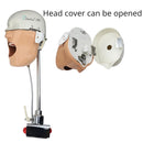 Dental Phantom Manikin Head Model Resin Teeth Modeling Dentistry Therapy Training Products