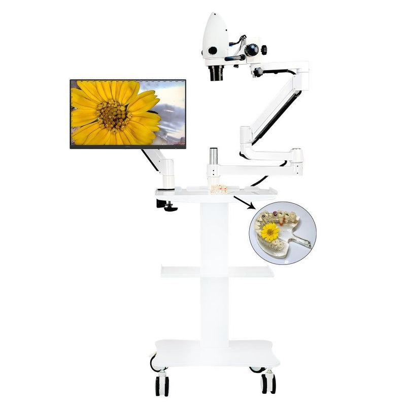 Dental Equipment Microscope with Built-in Camera 3X~33X Continuous zoom for Optional Dental Equipment Chair Unit 100V-240V